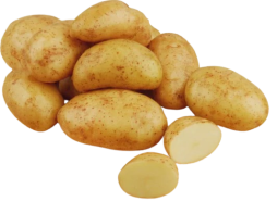 Batata