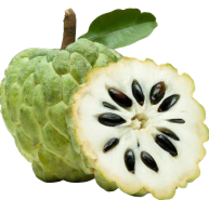 Custard Apple