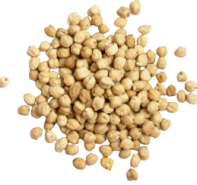 Chickpea