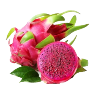 dragon fruit